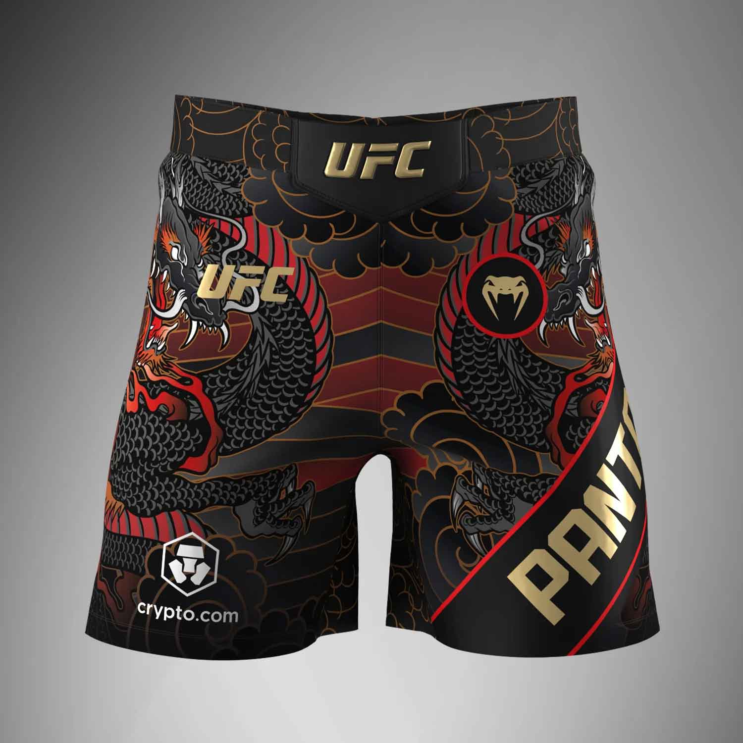 UFC Unrivaled by Venum Men's Alexandre Pantoja Short fit Fight short／限定版UFCアンライバルド by ヴェナム メンズ アレッシャンドリ・パントージャ ショートフィット ファイトショーツ