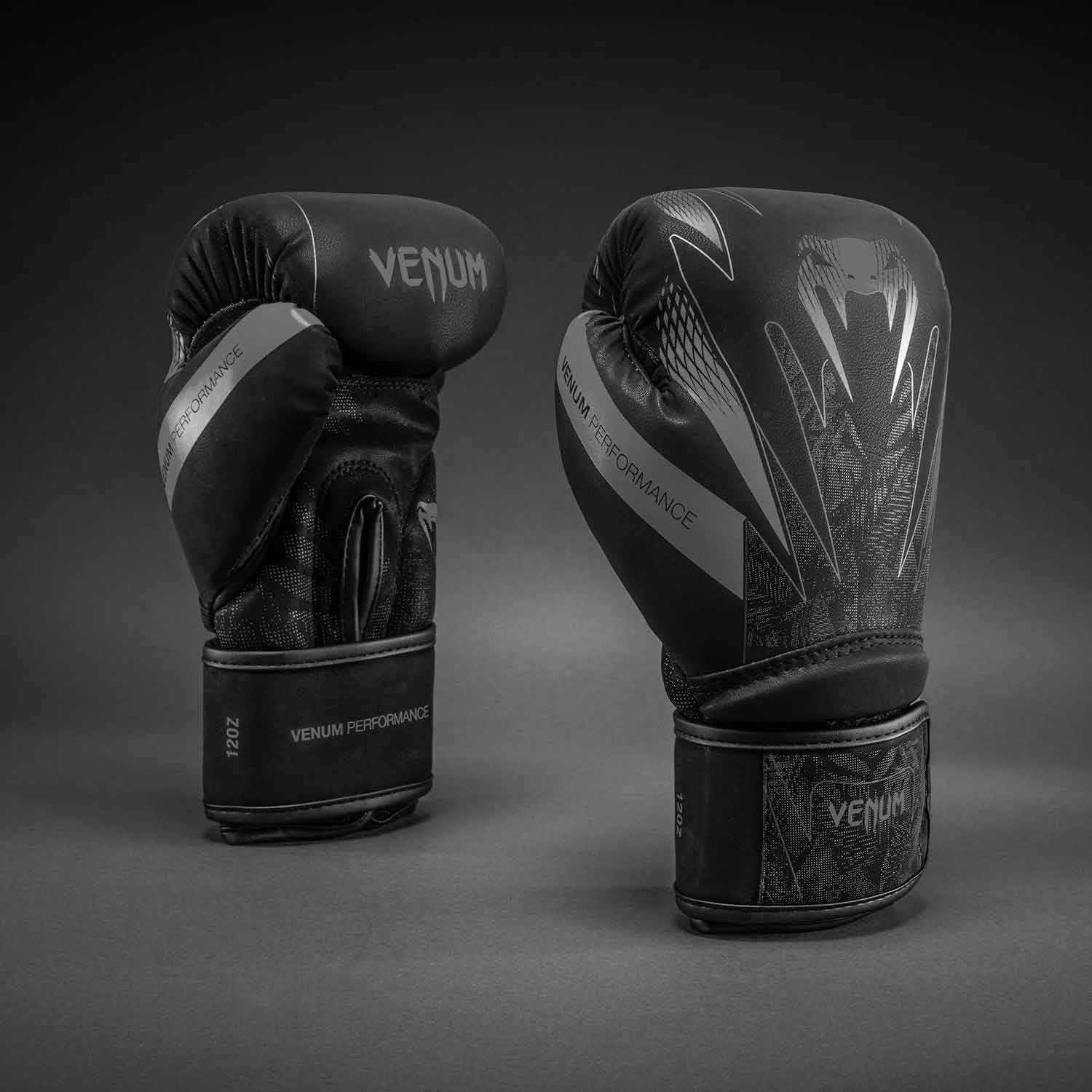 Amazonia Reborn Impact Boxing Gloves／アマゾニア リボーン インパクト ボクシンググローブ（黒／グレー）