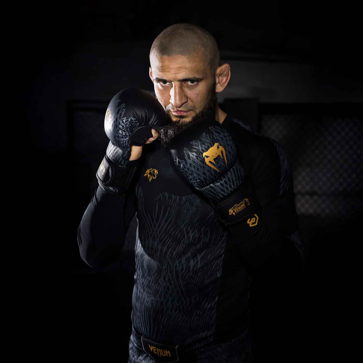Venum x Chimaev Wild Borz Sparring Gloves／ヴェナム×チマエフ ワイルド・ボルズ スパーリング・グローブ