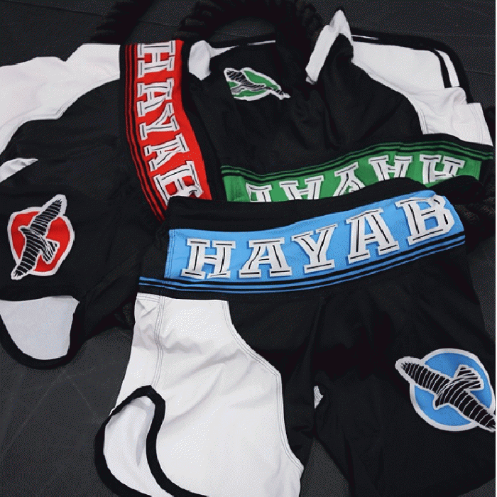 Hayabusa Fightwear／ハヤブサ・ファイトウェア　ファイトショーツ　　FLEX FACTOR FIGHT SHORTS／フレックス ファクター ファイトショーツ（黒／グリーン）