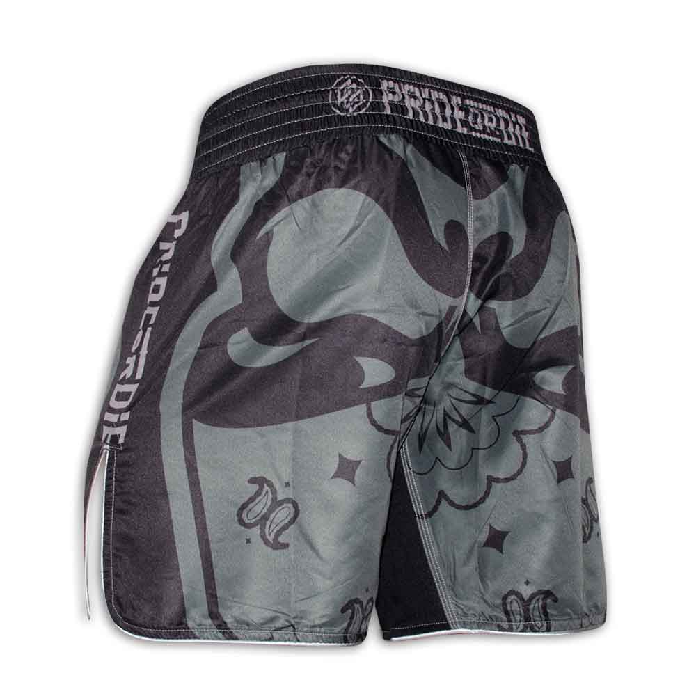 PRIDE OR DIE(PRiDEorDiE)／プライド オア ダイ　ファイトショーツ　　RUTHLESS Fight Shorts／ルースレス ファイトショーツ