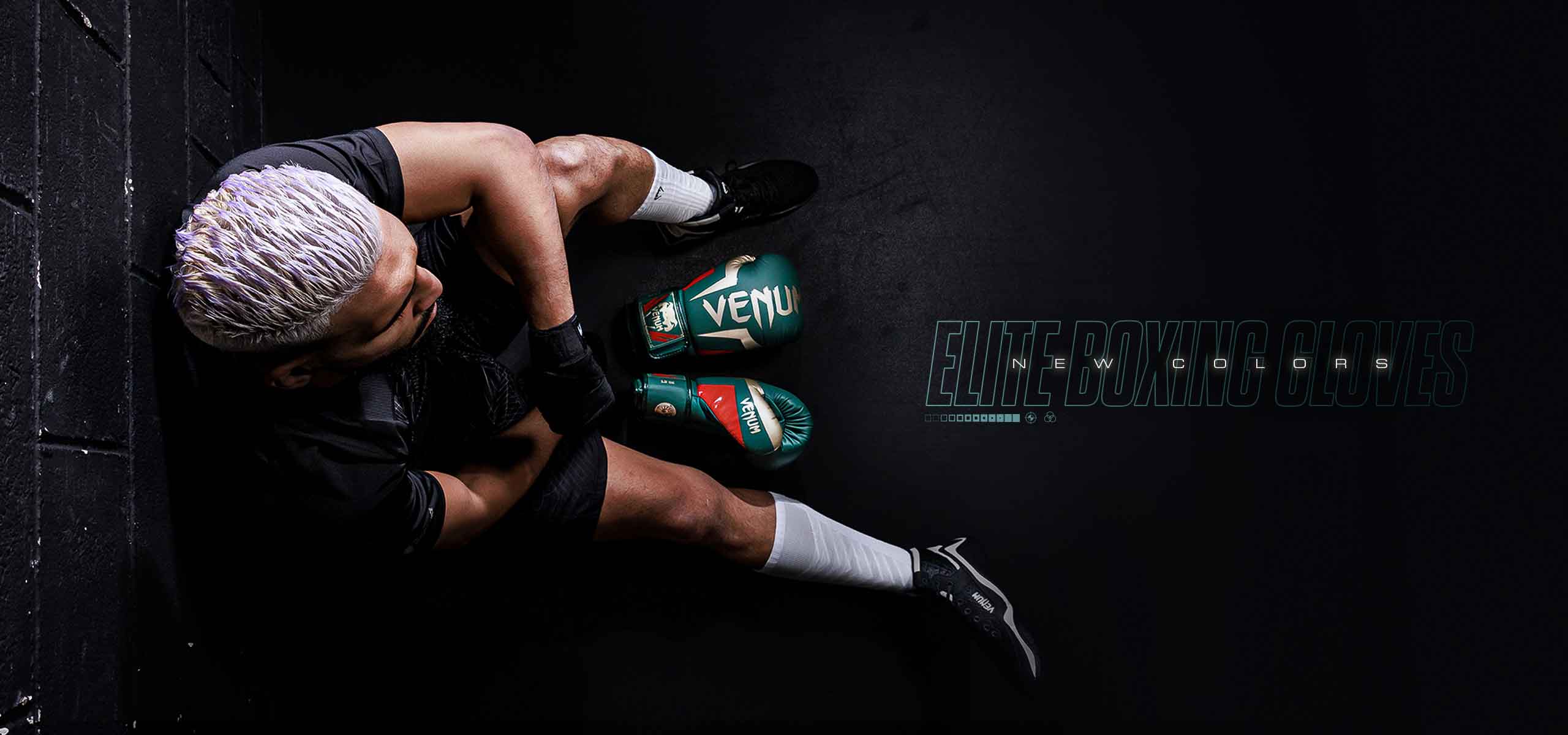 VENUM／ヴェナム　ボクシンググローブ　　Elite Boxing Gloves Special Edition／特別版エリート ボクシンググローブ（ロイヤルブルー）