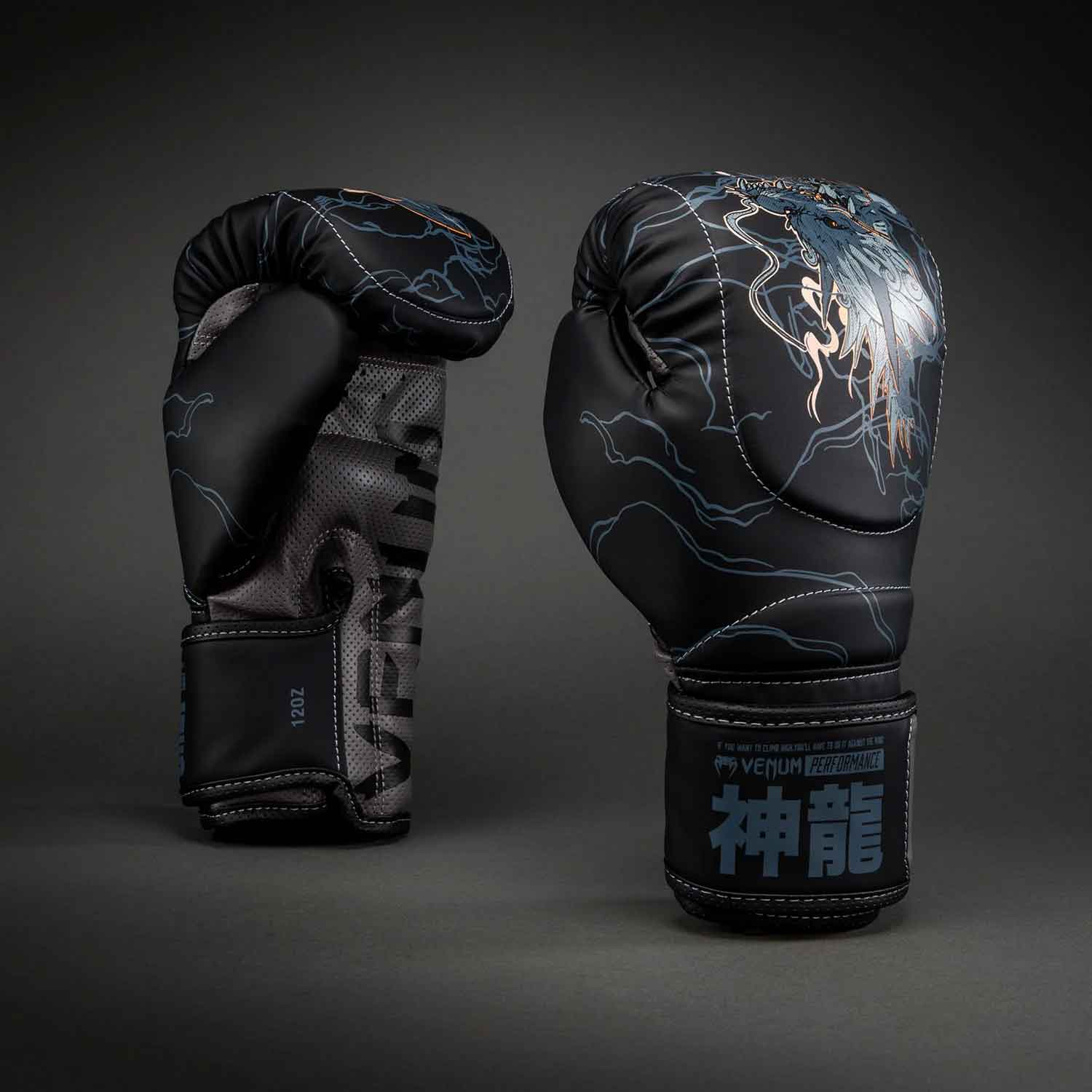 Thunder Dragon Boxing Gloves／サンダー ドラゴン ボクシンググローブ（黒／グレー）