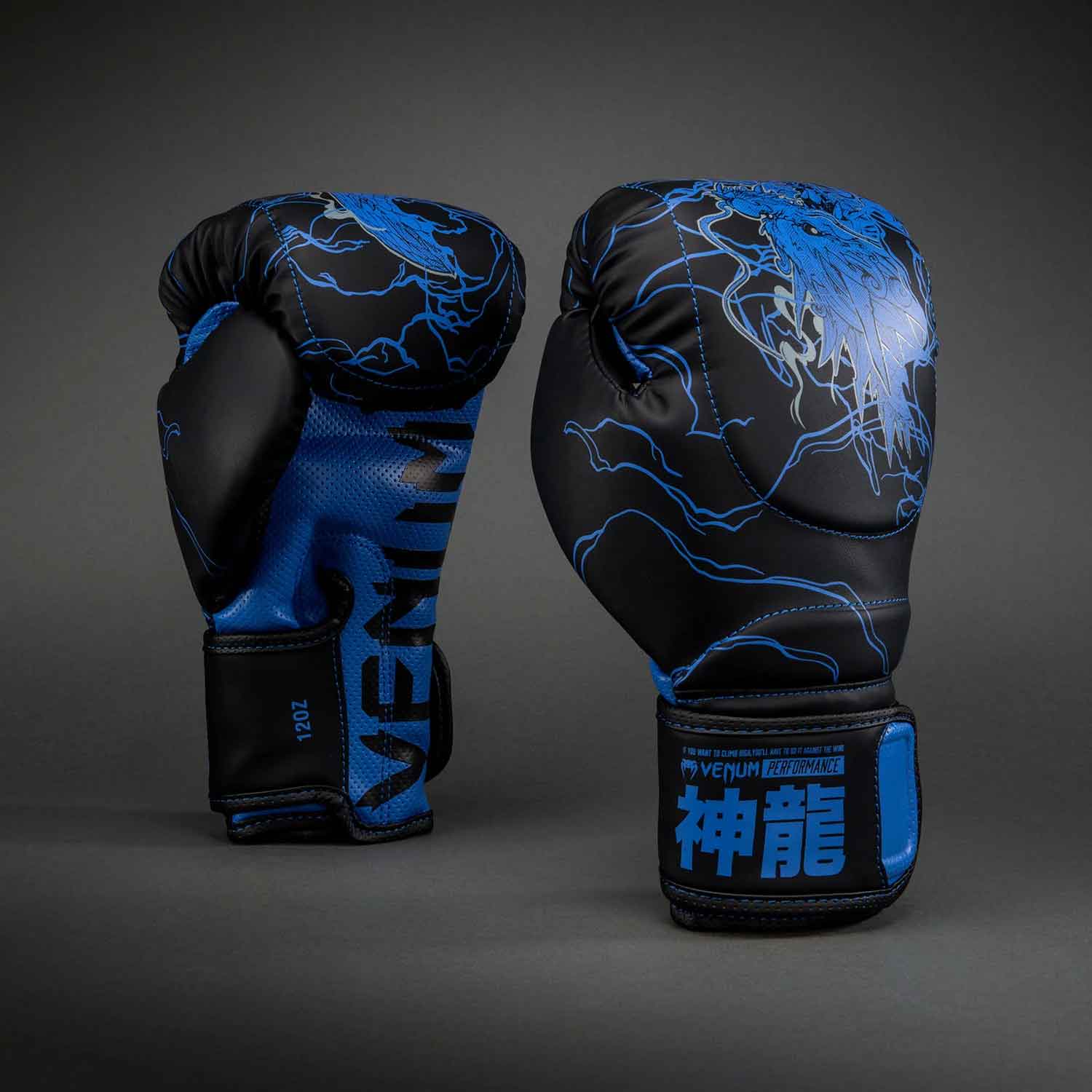 Thunder Dragon Boxing Gloves／サンダー ドラゴン ボクシンググローブ（黒／ブルー）