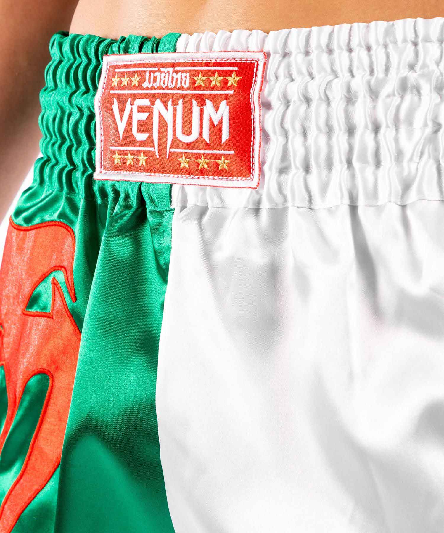 VENUM／ヴェナム　ムエタイショーツ　　MT FLAGS MUAY THAI SHORTS ALGERIAN FLAG／MT フラッグス ムエタイショーツ アルジェリアンフラッグ