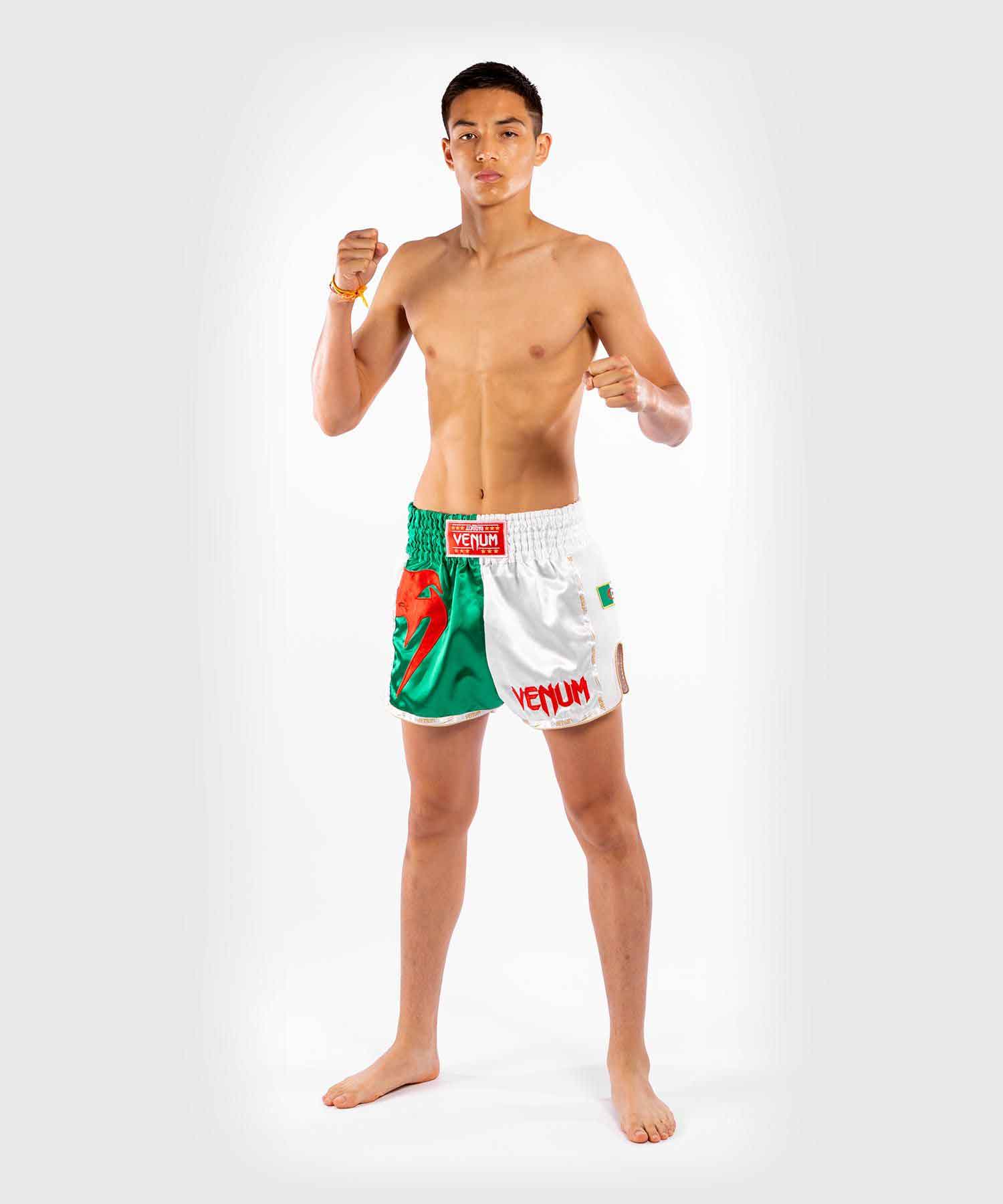 VENUM／ヴェナム　ムエタイショーツ　　MT FLAGS MUAY THAI SHORTS ALGERIAN FLAG／MT フラッグス ムエタイショーツ アルジェリアンフラッグ