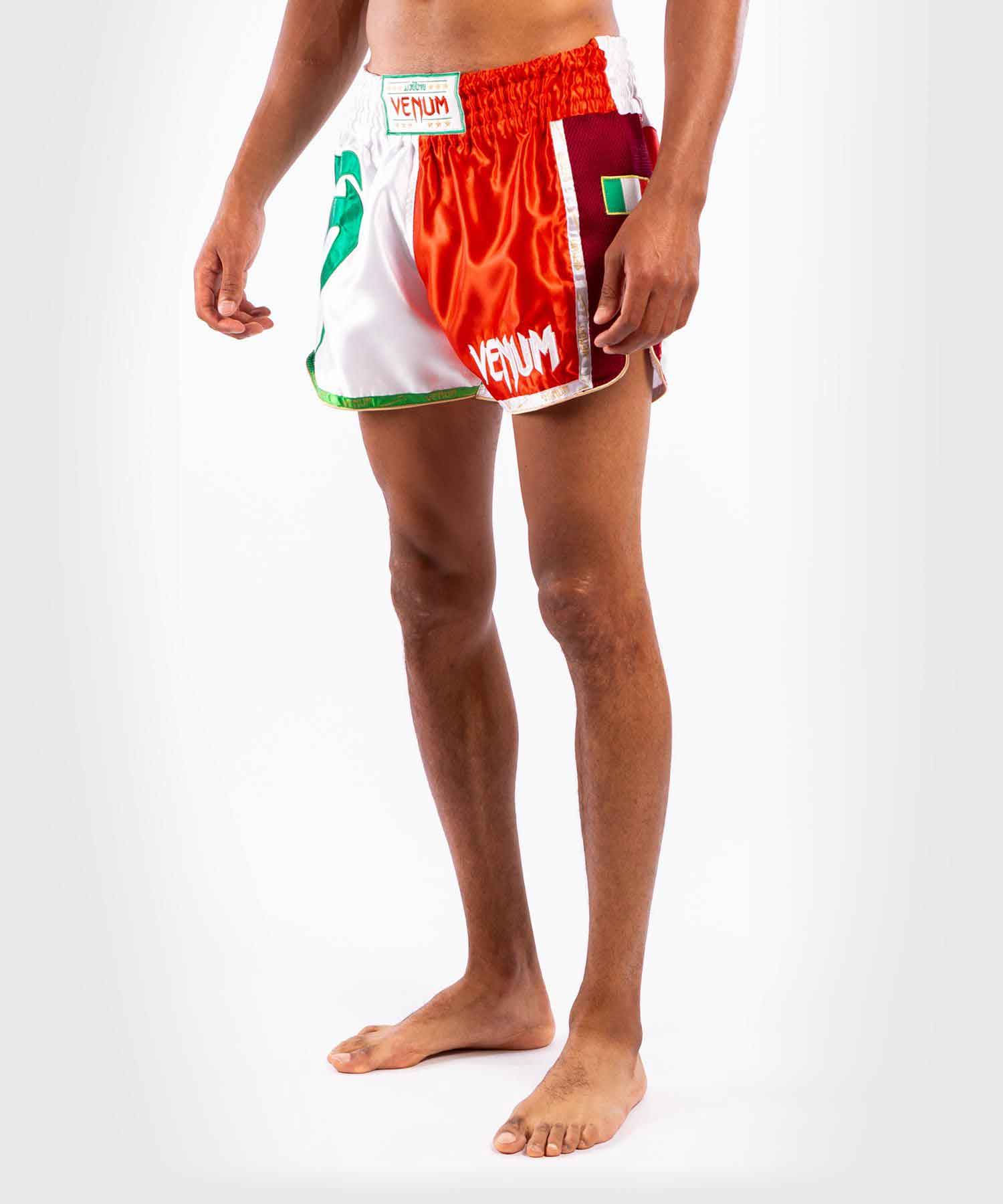 VENUM／ヴェナム　ムエタイショーツ　　MT FLAGS MUAY THAI SHORTS ITALIAN FLAG／MT フラッグ ムエタイショーツ イタリアンフラッグ