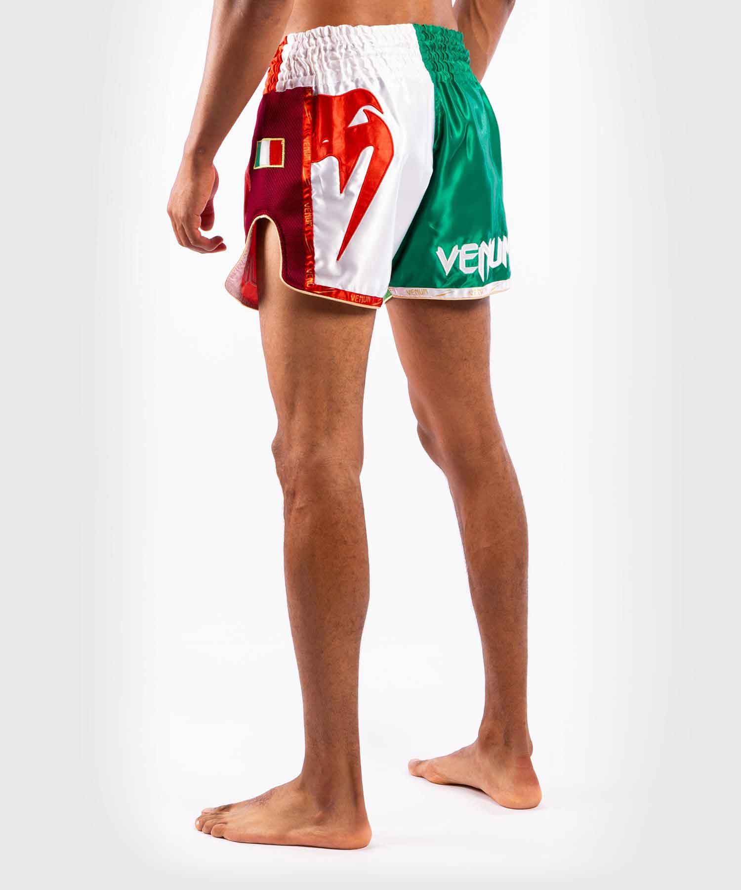 VENUM／ヴェナム　ムエタイショーツ　　MT FLAGS MUAY THAI SHORTS ITALIAN FLAG／MT フラッグ ムエタイショーツ イタリアンフラッグ