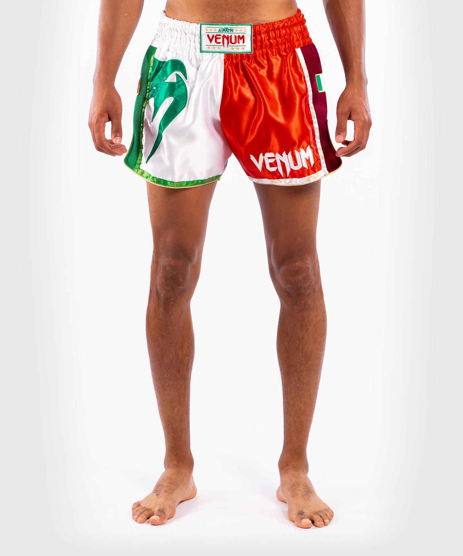 MT FLAGS MUAY THAI SHORTS ITALIAN FLAG／MT フラッグ ムエタイショーツ イタリアンフラッグ