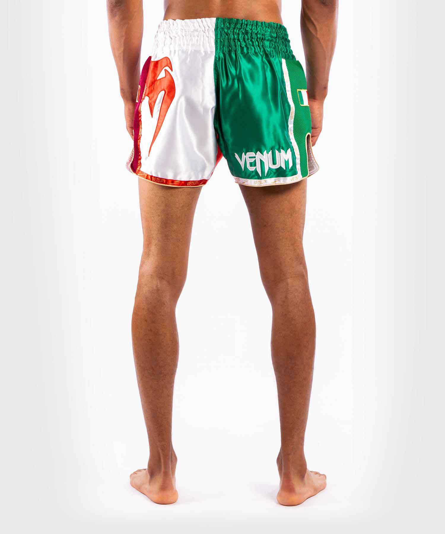 VENUM／ヴェナム　ムエタイショーツ　　MT FLAGS MUAY THAI SHORTS ITALIAN FLAG／MT フラッグ ムエタイショーツ イタリアンフラッグ