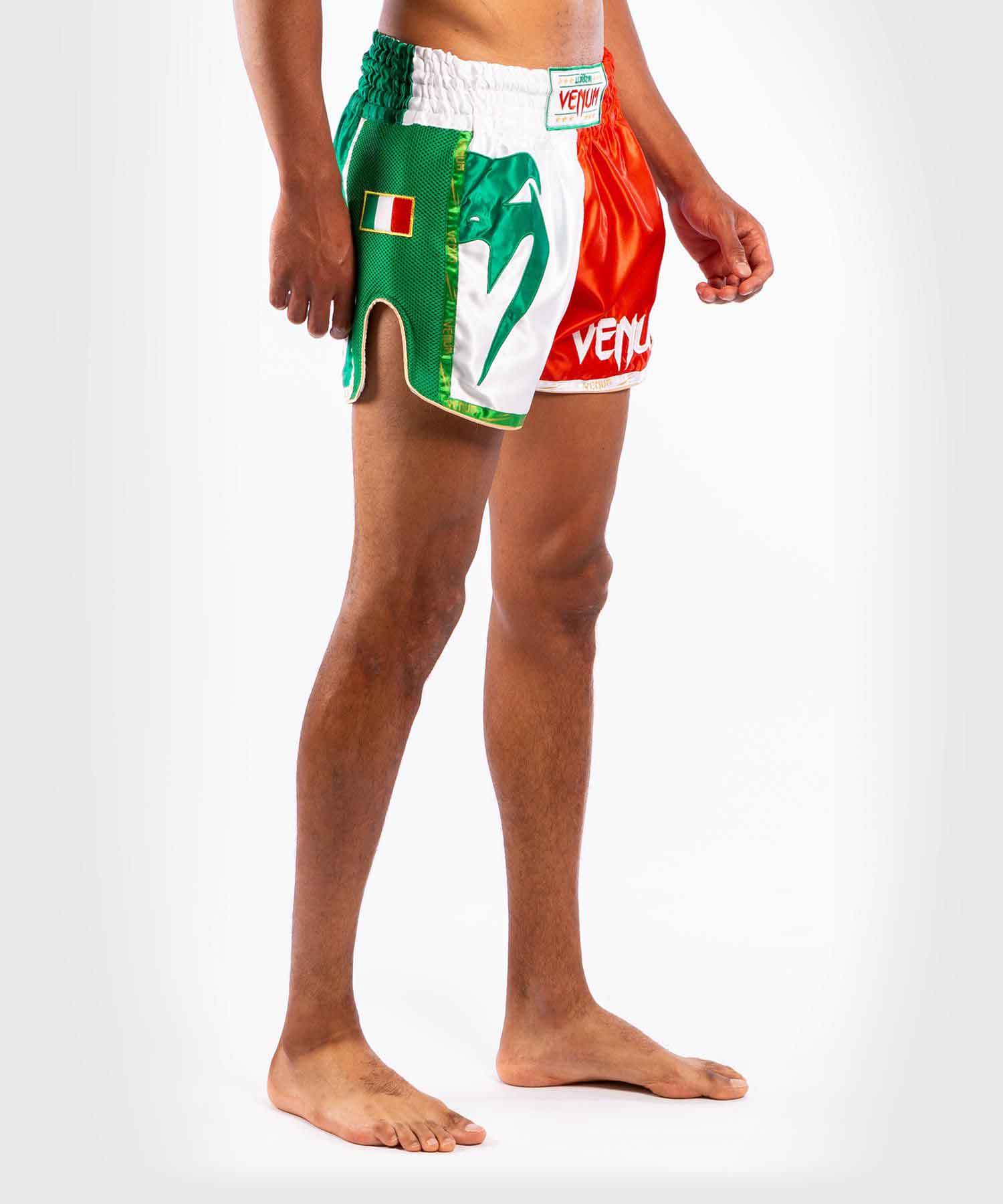 VENUM／ヴェナム　ムエタイショーツ　　MT FLAGS MUAY THAI SHORTS ITALIAN FLAG／MT フラッグ ムエタイショーツ イタリアンフラッグ