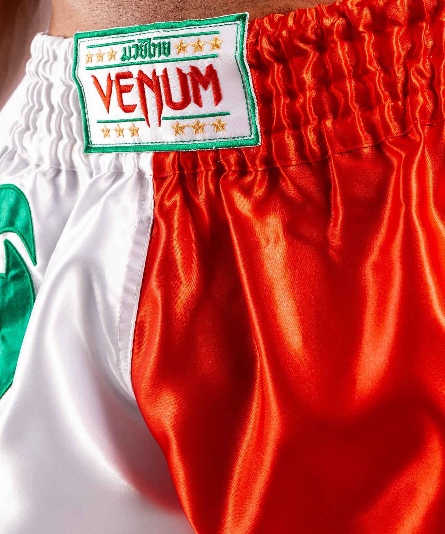 VENUM／ヴェナム　ムエタイショーツ　　MT FLAGS MUAY THAI SHORTS ITALIAN FLAG／MT フラッグ ムエタイショーツ イタリアンフラッグ