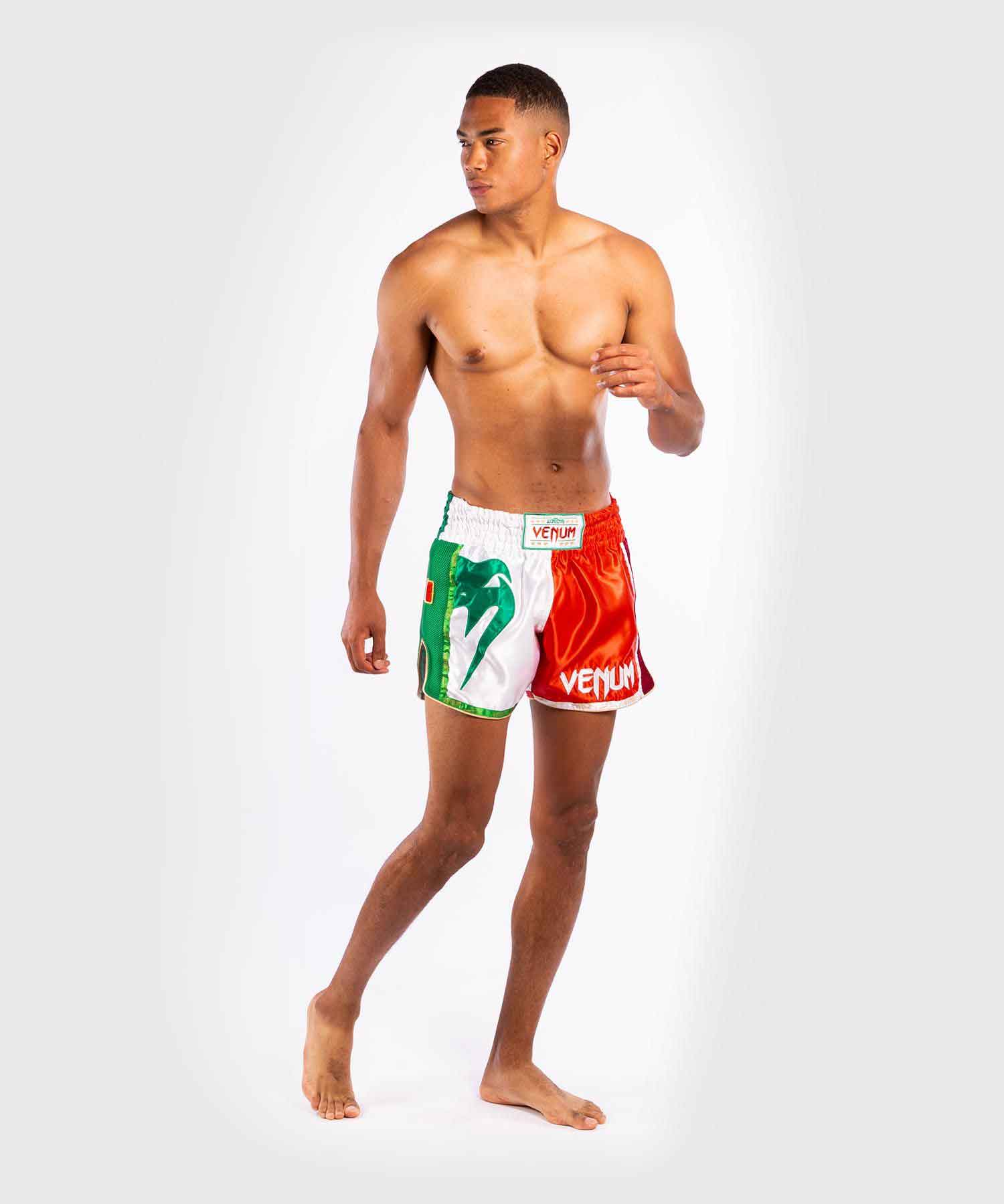 VENUM／ヴェナム　ムエタイショーツ　　MT FLAGS MUAY THAI SHORTS ITALIAN FLAG／MT フラッグ ムエタイショーツ イタリアンフラッグ