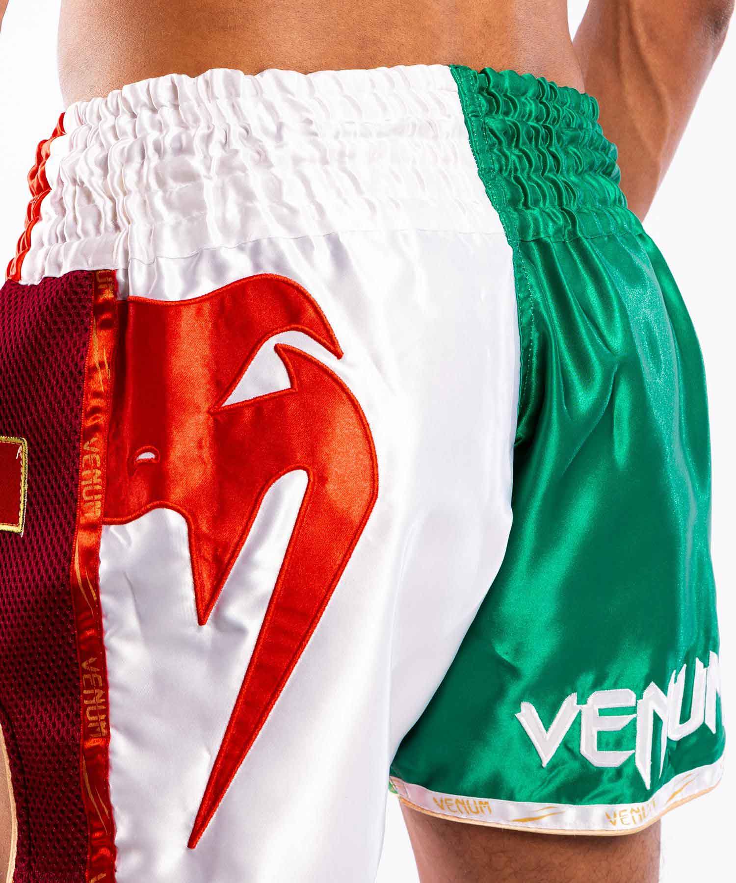 VENUM／ヴェナム　ムエタイショーツ　　MT FLAGS MUAY THAI SHORTS ITALIAN FLAG／MT フラッグ ムエタイショーツ イタリアンフラッグ