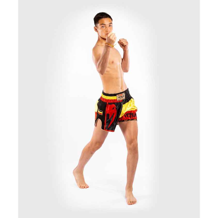 VENUM／ヴェナム　ムエタイショーツ　　MT FLAGS MUAY THAI SHORTS GERMAN FLAG／MT フラッグス ムエタイショーツ ジャーマン フラッグ