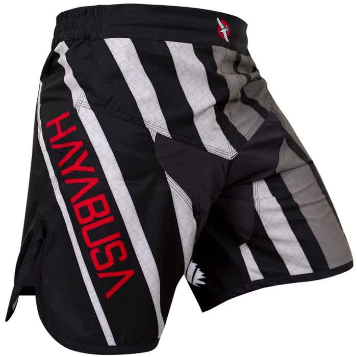 Hayabusa Fightwear／ハヤブサ・ファイトウェア VENUM - 格闘技グッズ