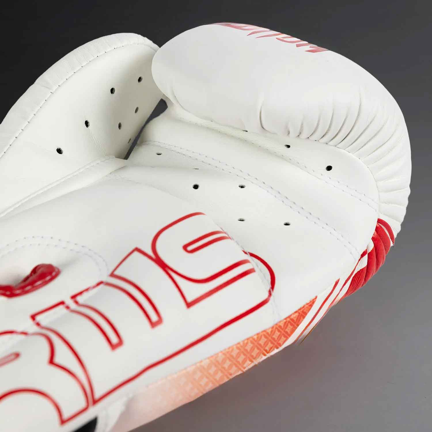 VENUM／ヴェナム　ボクシンググローブ　　Venum x RWS 2.0 Boxing Gloves／ヴェナム×ラジャダムナン・ワールド・シリーズ 2.0 ボクシンググローブ（白）