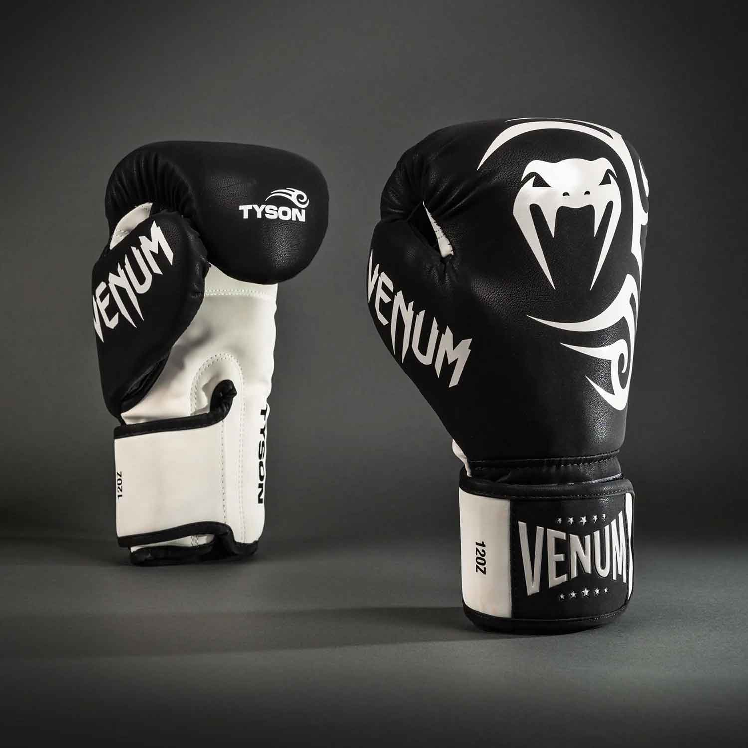 Mike Tyson Replica Boxing Gloves／マイク・タイソン レプリカ ボクシンググローブ